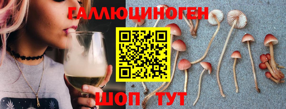 Галлюциногенные грибы Psilocybine cubensis Бахчисарай